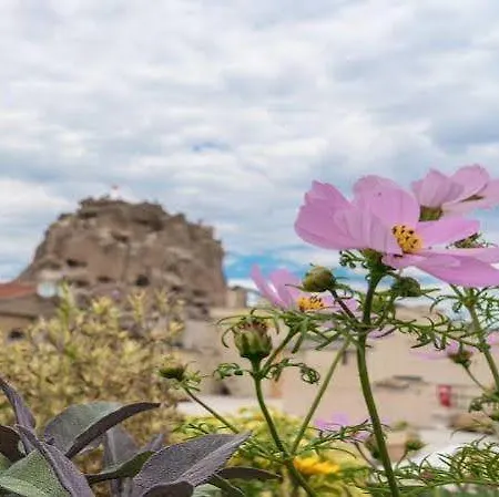 Maze Of Cappadocia ベッド・アンド・ブレックファスト