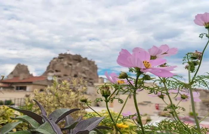Maze Of Cappadocia Panzió